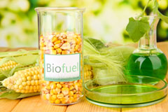 Gwern Y Steeple biofuel availability
